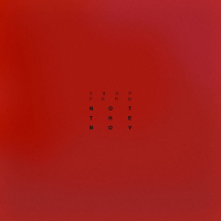 Not The Boy (Single)