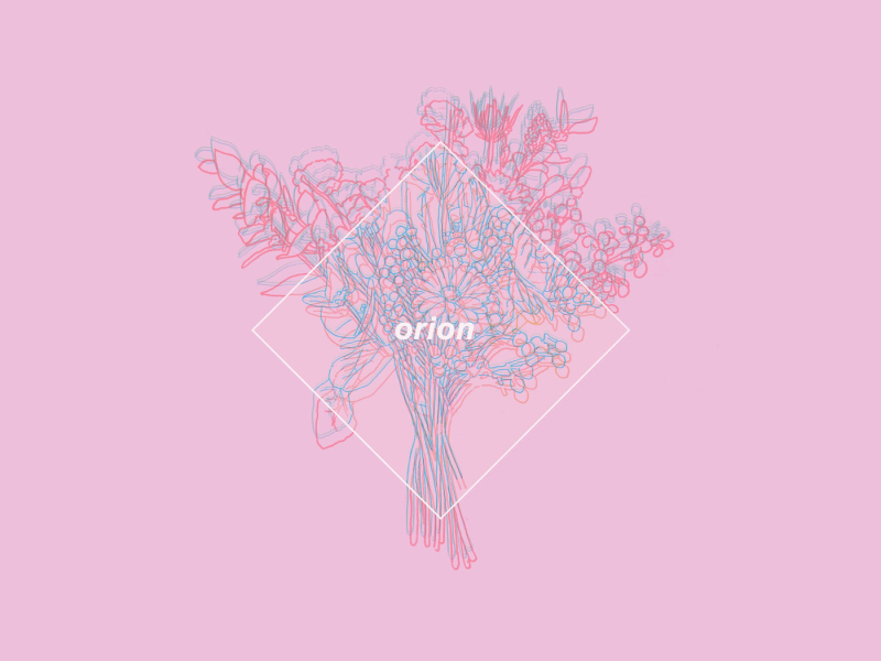 orion