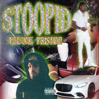 Stoopid (Single)