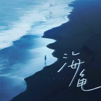海龟 (Single)