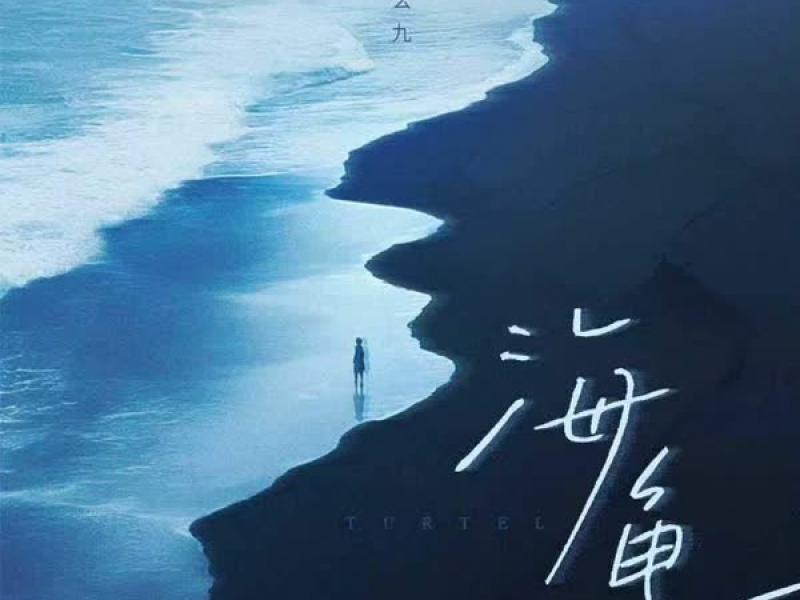 海龟 (Single)