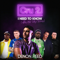 I need to know (feat. Tom Zanetti, Dizzee Rascal, KAV & MIST) (All Star Rap Remix) (Single)