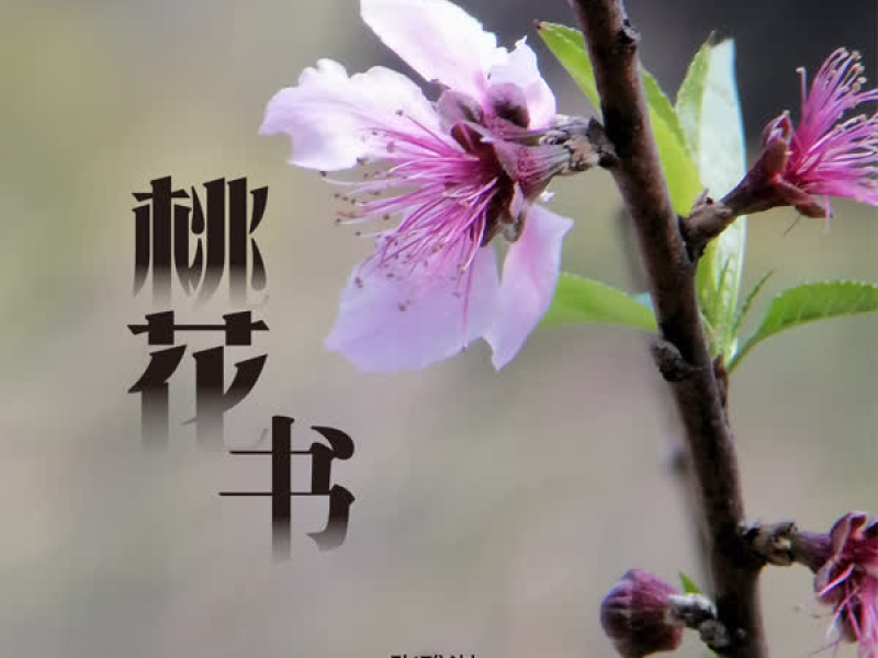 桃花书 (Single)