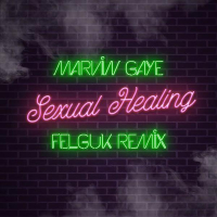 Sexual Healing (Felguk Remix) (Single)