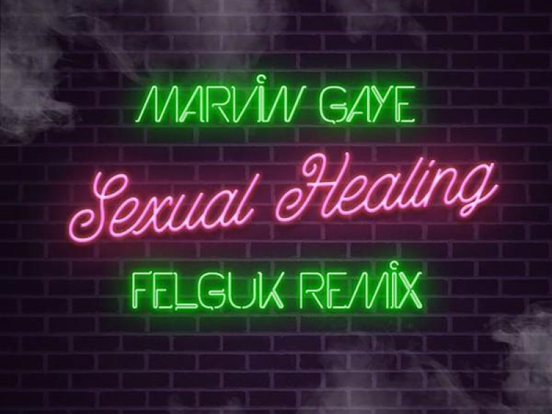 Sexual Healing (Felguk Remix) (Single)