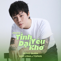 Tình Yêu Dại Khờ (Remix) (Single)