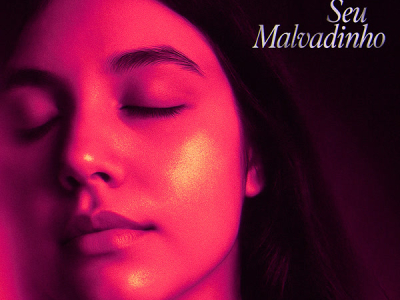 Seu Malvadinho (Single)