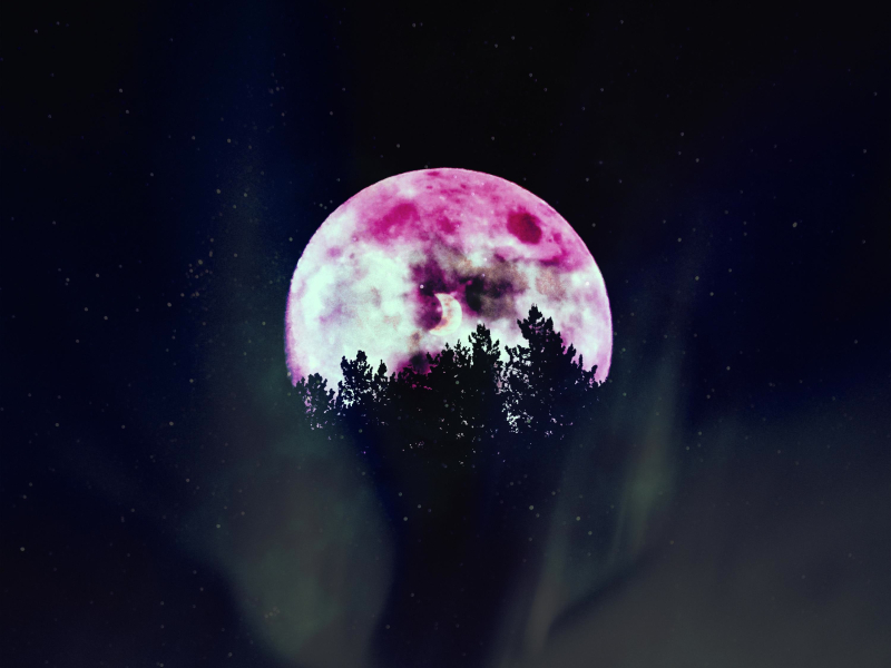 The Night sky (Single)