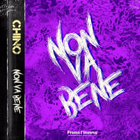 Non Va Bene (Single)