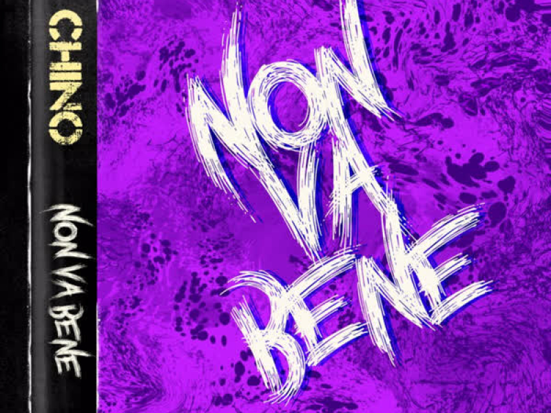Non Va Bene (Single)
