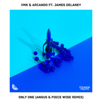 Only One (feat. James Delaney) [ANGUS & Piece Wise Remix] (Single)