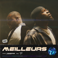 Meilleurs (Single)