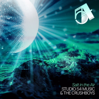 Salt in the Air (Single)