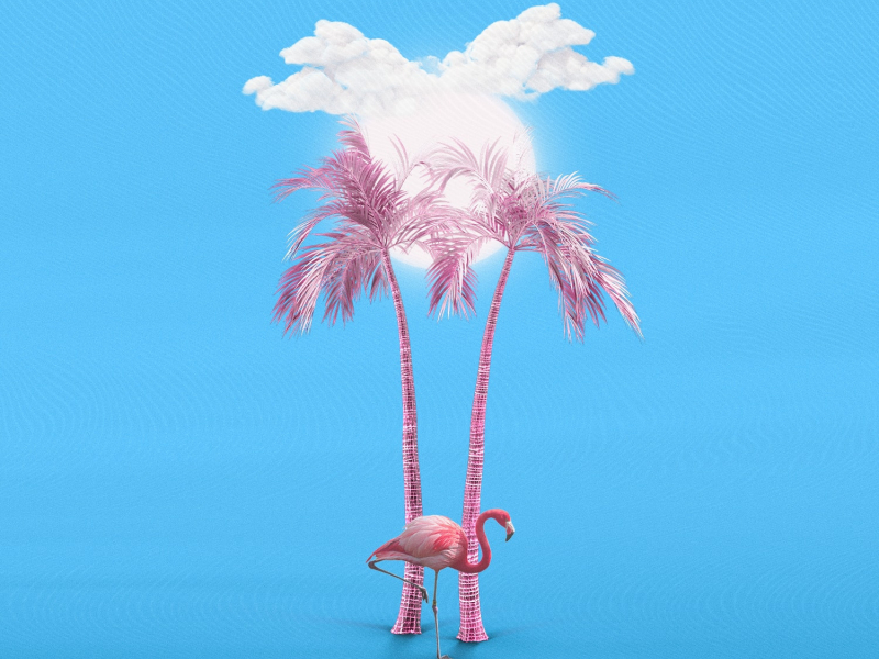 Not the One (feat. Jay Ant)