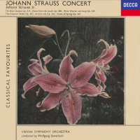 Johann Strauss Concert