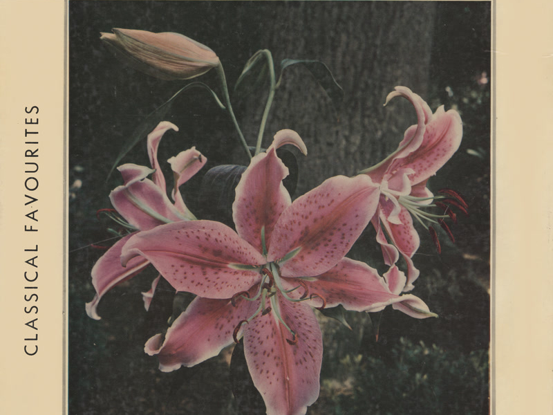 Johann Strauss Concert