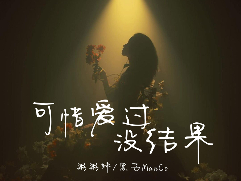 可惜爱过没结果 (Single)