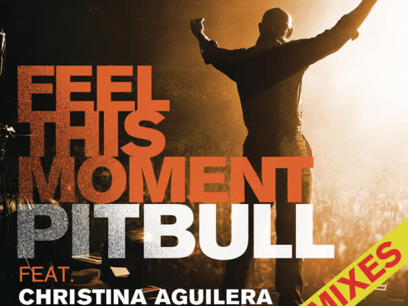 Feel This Moment Remixes