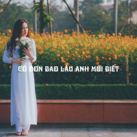 Cô Đơn Bao Lâu Anh Mới Biết (Slowed) (Tuấn Anh Remix) (Single)