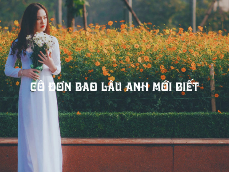 Cô Đơn Bao Lâu Anh Mới Biết (Slowed) (Tuấn Anh Remix) (Single)