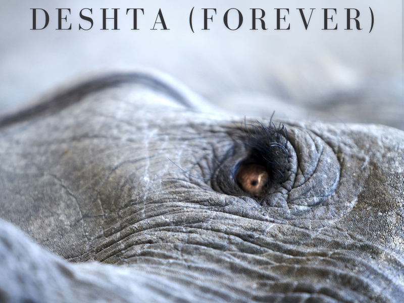 Deshta (Forever) (Single)