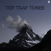 Top Trap Tunes (Single)