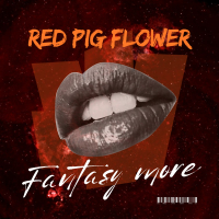 Fantasy More (Single)