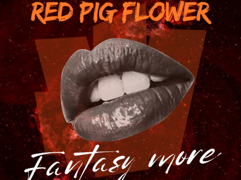 Fantasy More (Single)