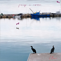 Fuig i Corre (Single)