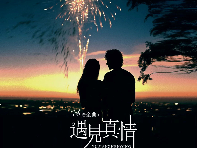 遇见真情 (粤语金曲) (Single)