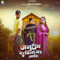 Janua Ke Bina Mar Jaib (Single)