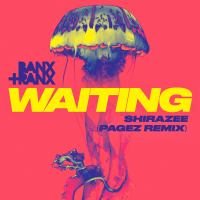 Waiting (PAGEZ Remix) (Single)