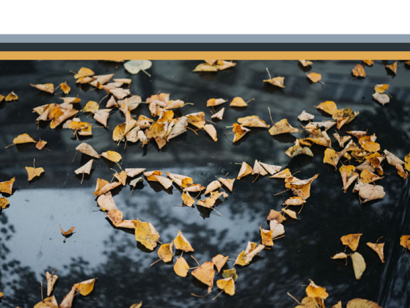 Love Letter (Single)