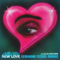 New Love (Shane Codd Remix) (Single)