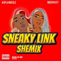 Sneaky Link Shemix (Single)