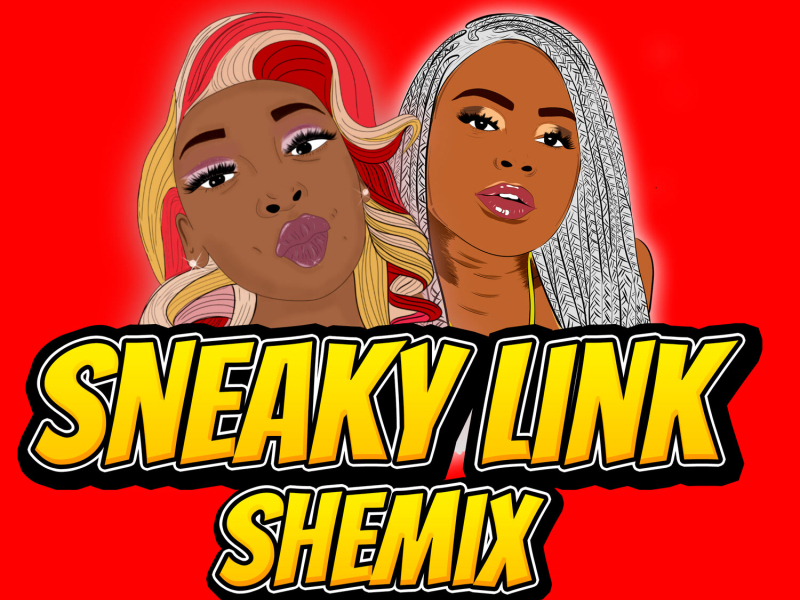 Sneaky Link Shemix (Single)