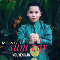 Mong Tết Sum Vầy (Single)
