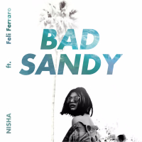 Bad Sandy (Single)