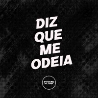 DIZ QUE ME ODEIA (Single)