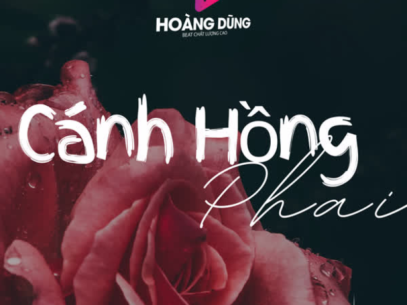 Cánh Hồng Phai