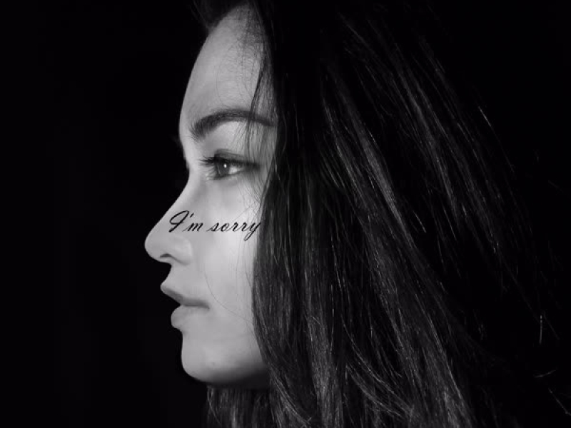 I`m Sorry (Single)