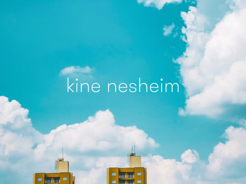 Hål i vingene (Single)