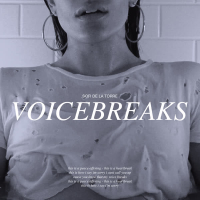 Voicebreaks (Single)