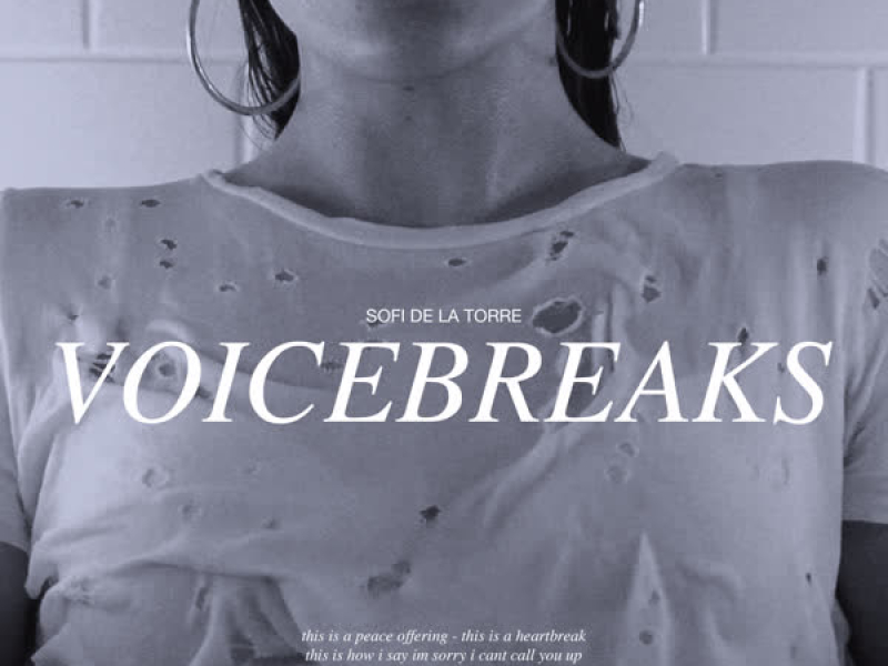 Voicebreaks (Single)