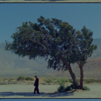 GOLDEN STATE (Single)