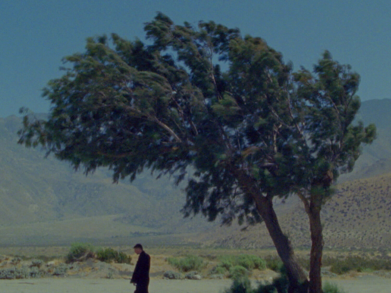 GOLDEN STATE (Single)