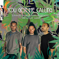 You Got Me Calling (Single)
