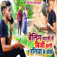 Belding Marhi Me Busy Bani Ae Raniya Ke Didi (Single)