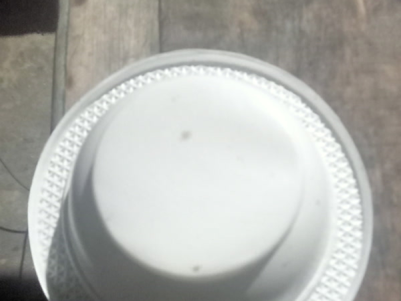 Sungguh keren (Single)