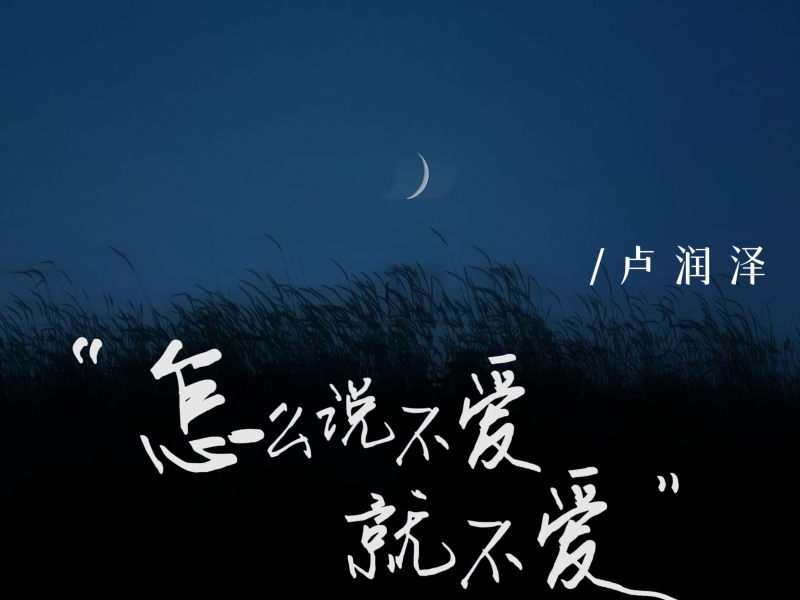 怎么说不爱就不爱 (Single)